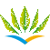 Air Caraibes